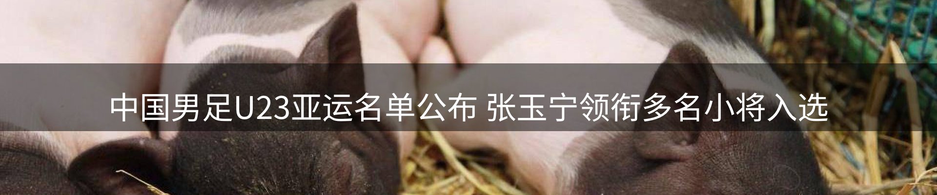 新闻消息